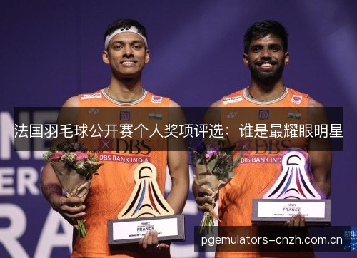 法国羽毛球公开赛个人奖项评选：谁是最耀眼明星